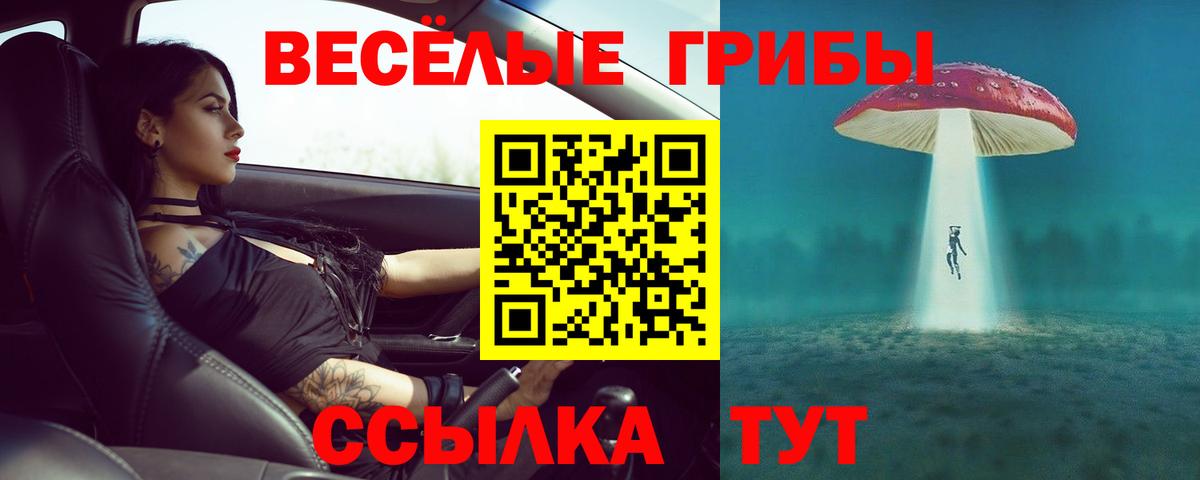 Псилоцибиновые грибы мухоморы  как найти закладки  Тимашёвск  Галлюциногенные грибы мухоморы  Вход с VPN 